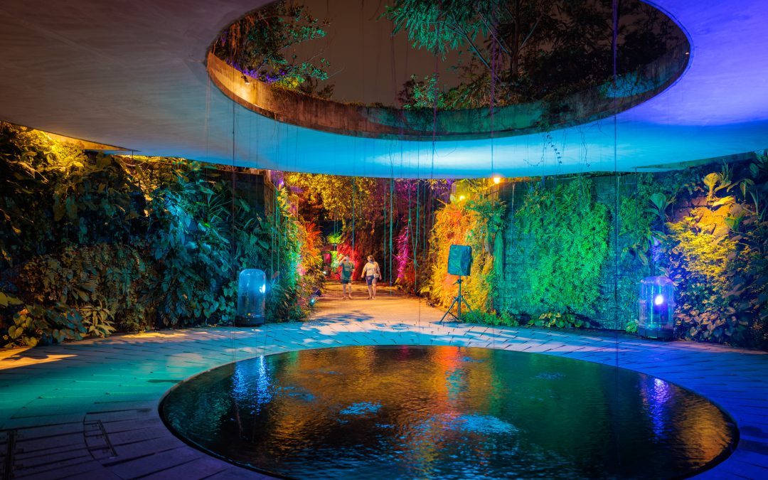 Lights by the Lake 2025